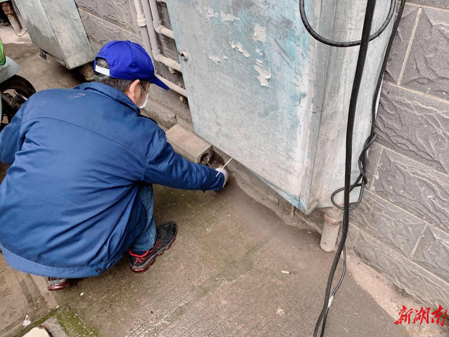 武陵区春季灭鼠行动已全面展开