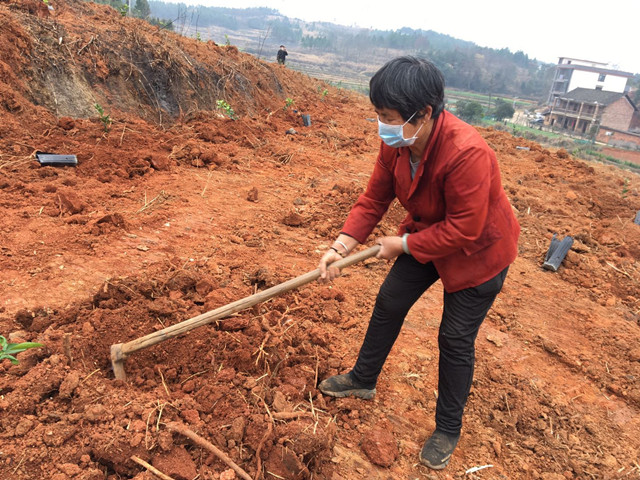 北塔区：18个扶贫产业基地抢先复工复产