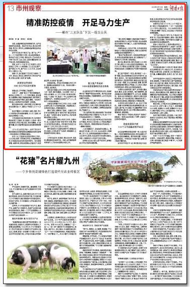 精准防控疫情 开足马力生产——郴州“三支队伍”下沉一线当尖兵 新湖南www.hunanabc.com