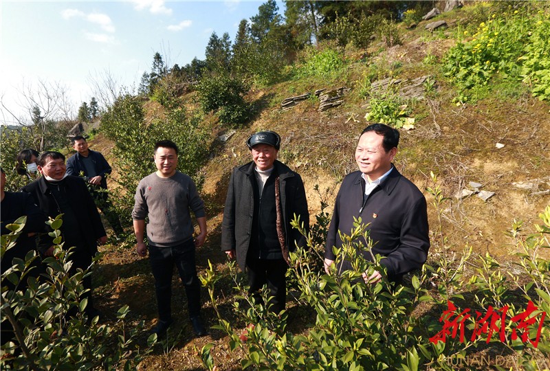 永顺县万坪镇推广实施的"烤烟—油菜—水稻—蔬菜"两年轮作模式叶红专