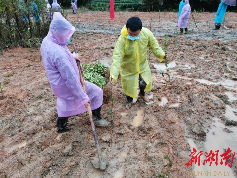 桥头乡：党建带团建 抗疫添绿意