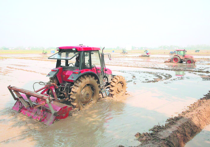图为我市农民使用机械热火朝天开展春耕生产. 谢 凌 摄