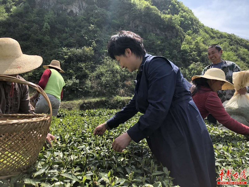 王婷接好父亲接力棒立志帮助百姓拔穷根