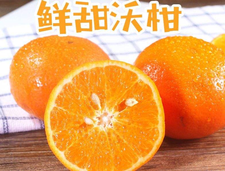 “芒果扶贫云超市”江永开直播  一天卖掉沃柑11.8万公斤