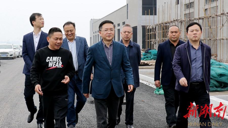 桃源县委书记周代惠调研重点项目建设工作