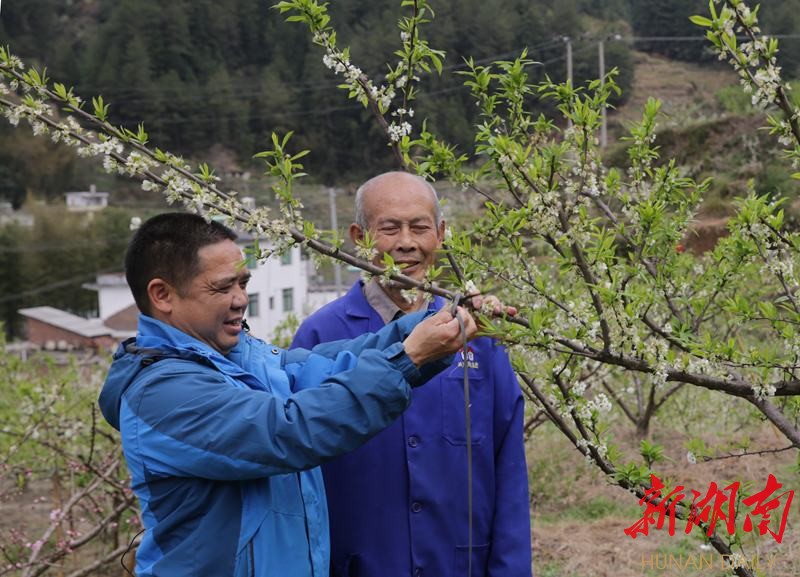 新坊乡：特色产业促增收 助力脱贫收官战