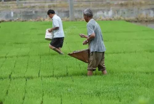 “沃博特”开足马力 确保春耕用肥