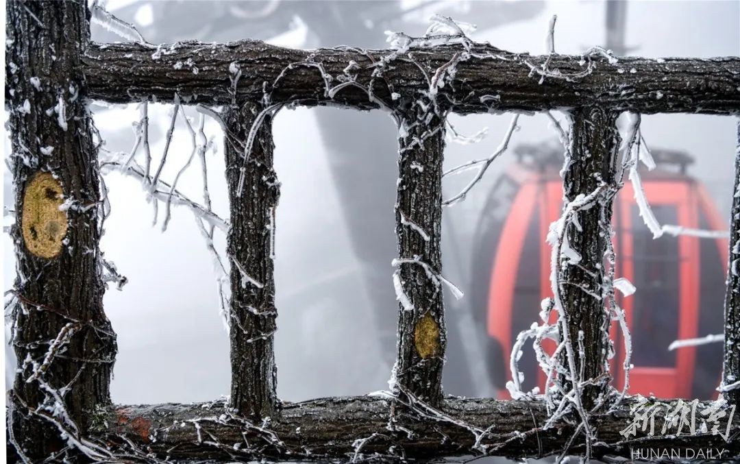 张家界天门山 三月降下桃花雪