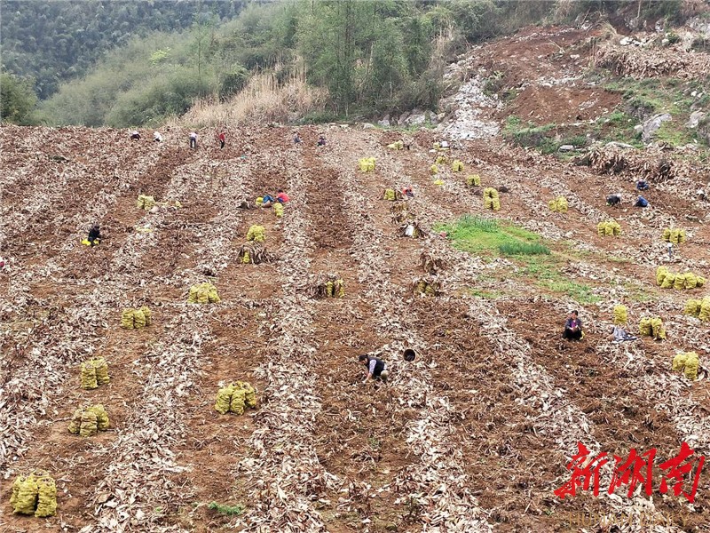 龙山县靛房镇:扶贫安置区的幸福生活