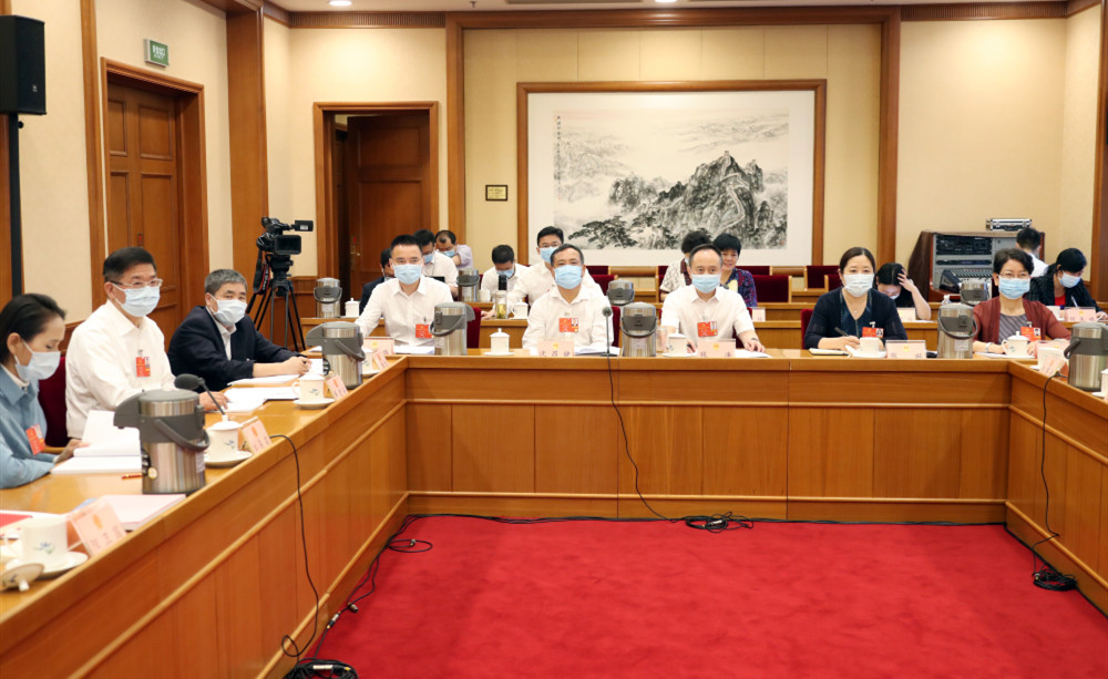 湖南代表团分组审查计划报告和预算报告