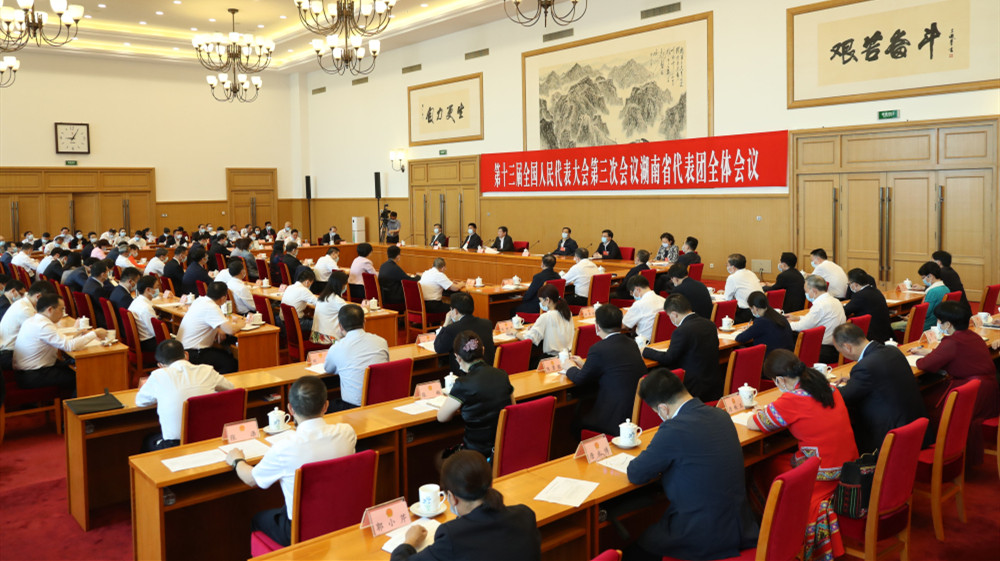 湖南代表团举行联组会议