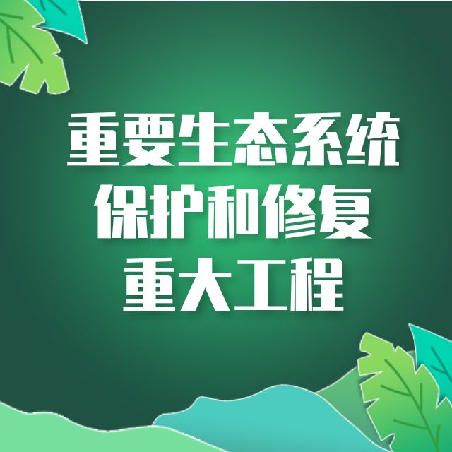 自然资源部：实施重要生态系统保护和修复重大工程 优化国家生态安全屏障体系