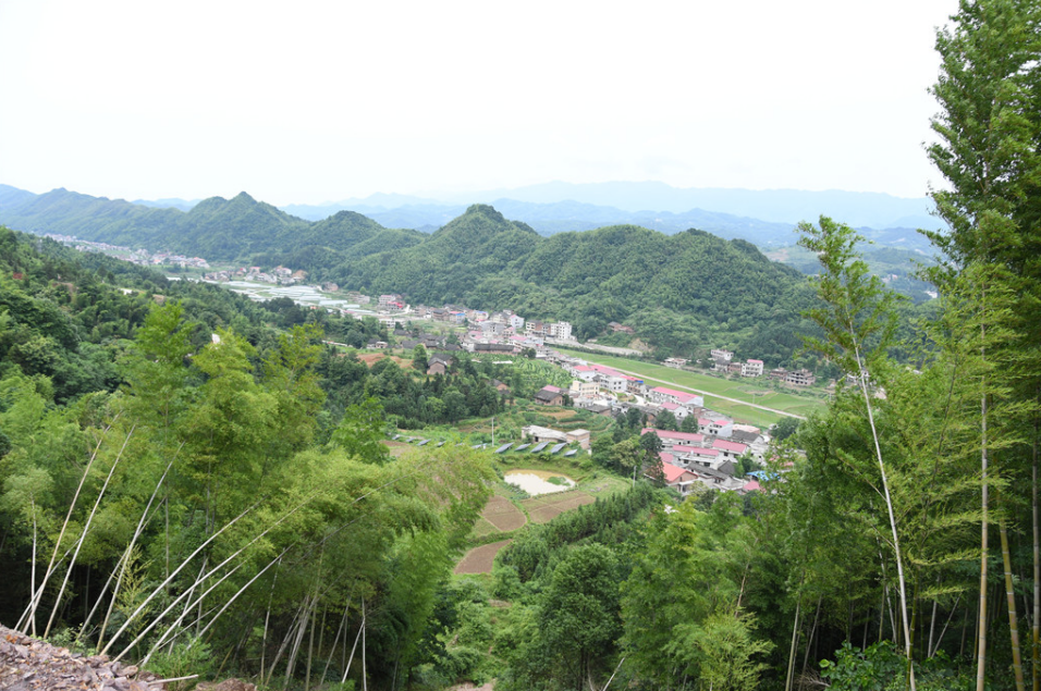 新邵县：“功德”存银行 产业兴乡村