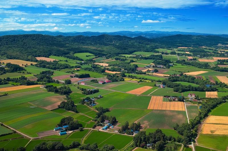 侯文：高质量决战决胜脱贫攻坚 高水平擎画乡村振兴蓝图