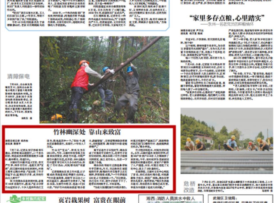 湖南日报 | 竹林幽深处 靠山来致富
