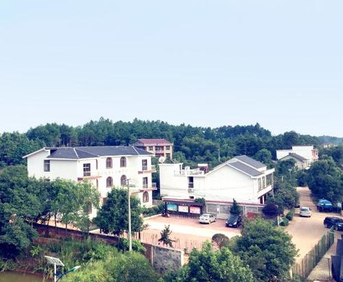 双清区发挥党员能人带富作用巩固脱贫攻坚成果