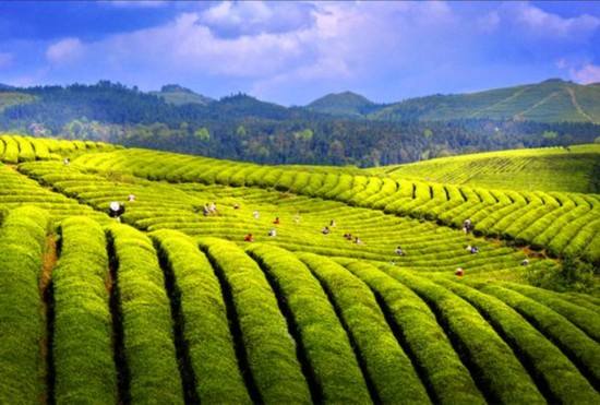 唐克俭：为人民群众创造更多绿色福利