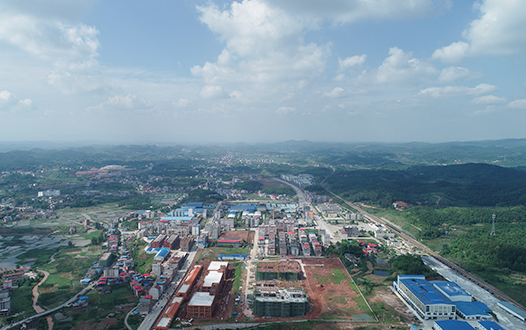 蒋伟：扭住就业产业“牛鼻子”带动脱贫致富