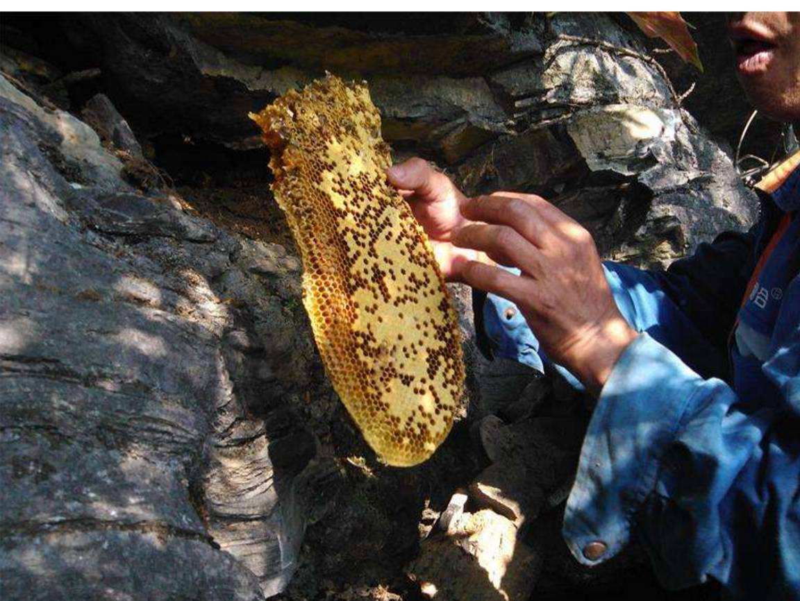 【决战决胜脱贫攻坚】山村土货进城 村民抱团奔富