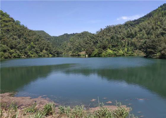 笑容2020丨洞口县清水村: 红三柚撬动产业梦想