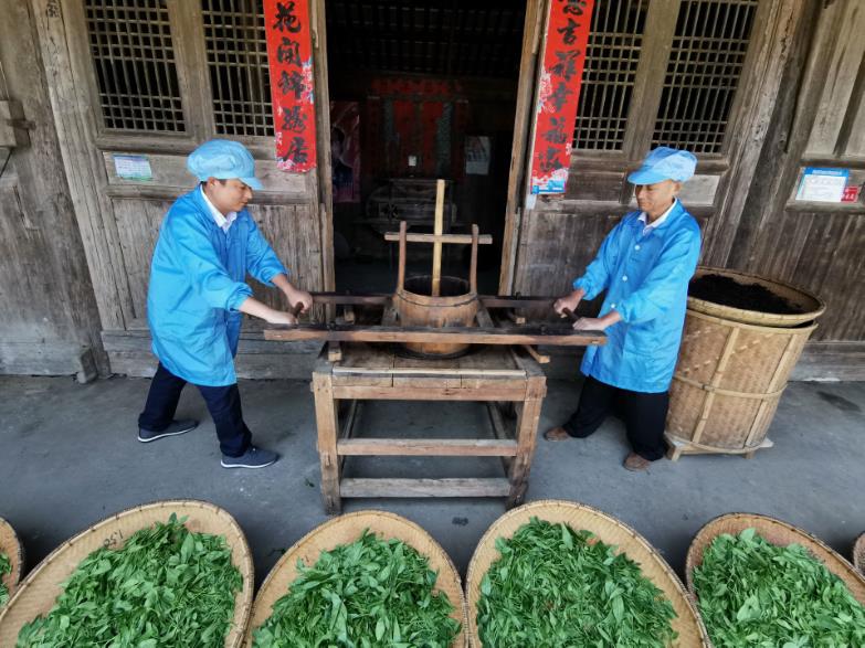 洞口古楼：茶富了口袋 美了乡村