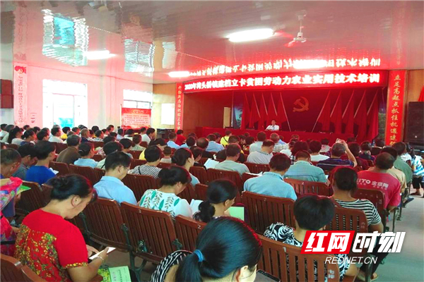 武冈：实用技能培训让群众致富有底气