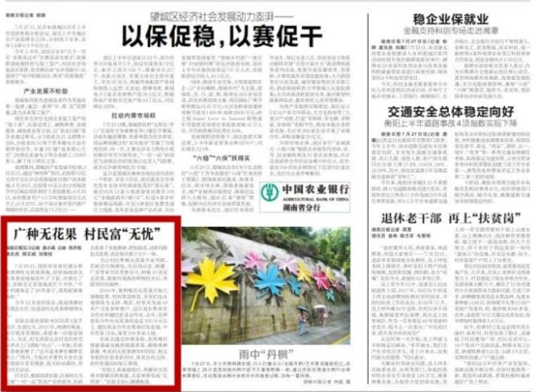 广种无花果 村民富“无忧”